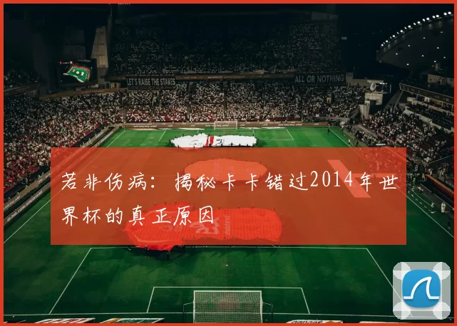 若非伤病：揭秘卡卡错过2014年世界杯的真正原因