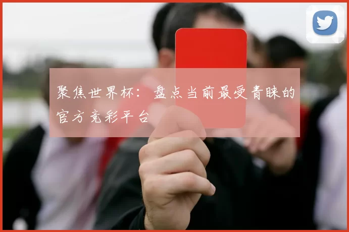 聚焦世界杯：盘点当前最受青睐的官方竞彩平台