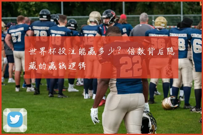 世界杯投注能赢多少？倍数背后隐藏的赢钱逻辑