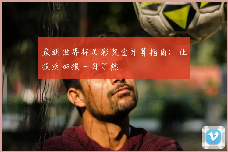 最新世界杯足彩奖金计算指南:让投注回报一目了然