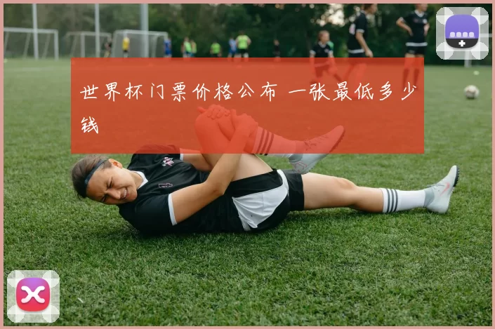 世界杯门票价格公布 一张最低多少钱