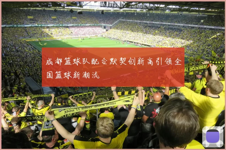 成都篮球队配合默契创新高引领全国篮球新潮流