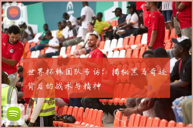 世界杯韩国队专访：揭秘黑马奇迹背后的战术与精神