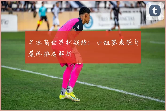年冰岛世界杯战绩:小组赛表现与最终排名解析