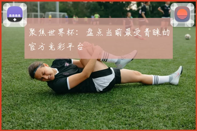 聚焦世界杯：盘点当前最受青睐的官方竞彩平台