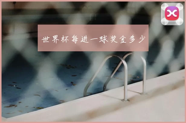 世界杯每进一球奖金多少