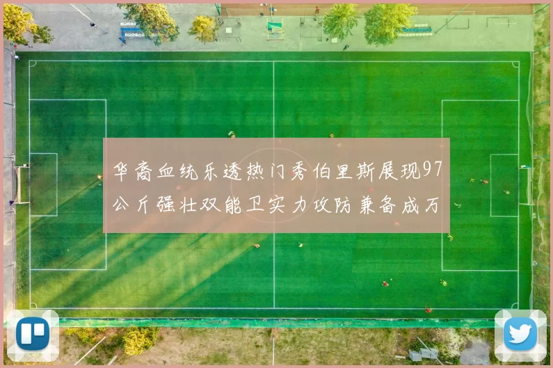 华裔血统乐透热门秀伯里斯展现97公斤强壮双能卫实力攻防兼备成万金油之选