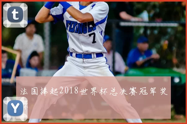 法国捧起2018世界杯总决赛冠军奖杯