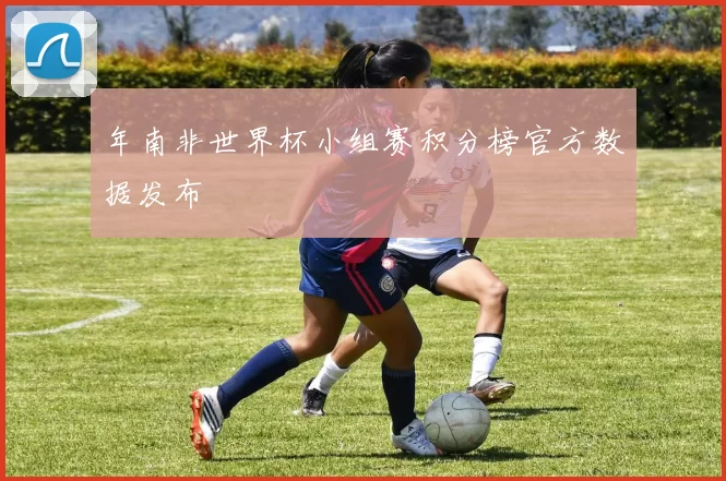 年南非世界杯小组赛积分榜官方数据发布