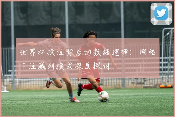 世界杯投注背后的数据逻辑：网络下注赢利模式深度探讨