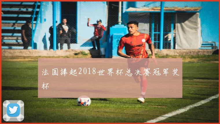法国捧起2018世界杯总决赛冠军奖杯
