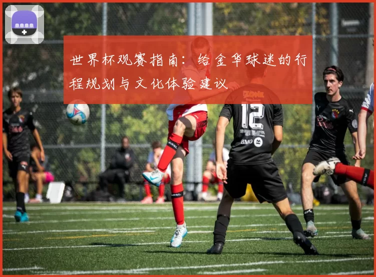 世界杯观赛指南：给金华球迷的行程规划与文化体验建议